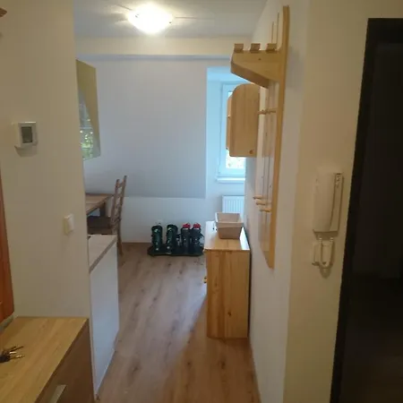 Apartment Ubytovani U Javoru 232/9