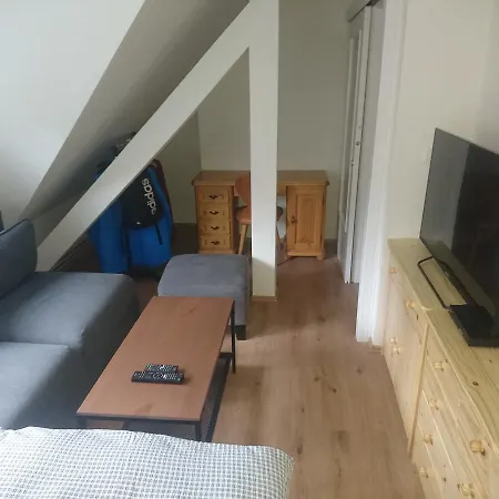Ubytovani U Javoru 232/9 Apartment